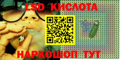 мяу мяу мука Кингисепп