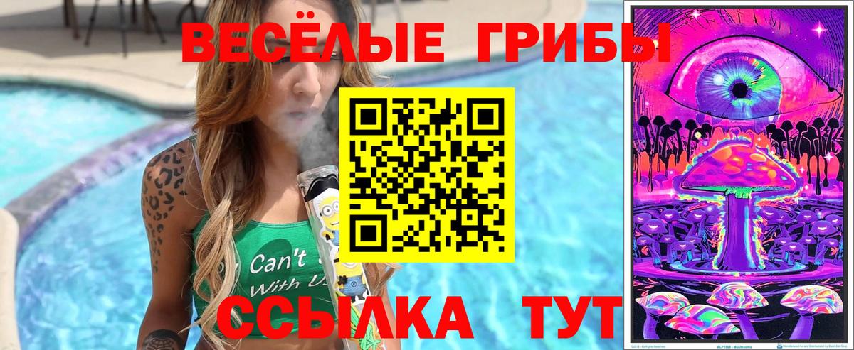 Галлюциногенные грибы Psilocybe  Вход с VPN  Волхов 
